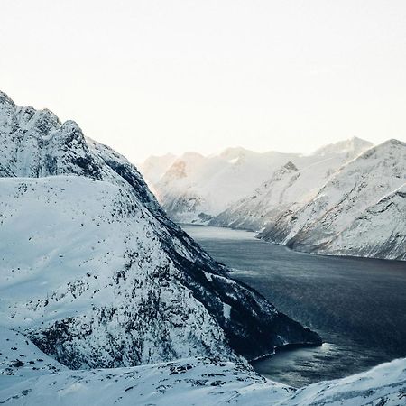 Unik Leilighet I Alesund Sentrum Екстериор снимка
